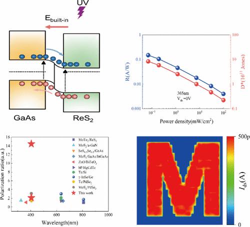 High Performance Broadband Polarization-Sensitive Photodetector Enabled by Mixed-Dimensional n-ReS2/p-GaAs van der Waals Heterostructure