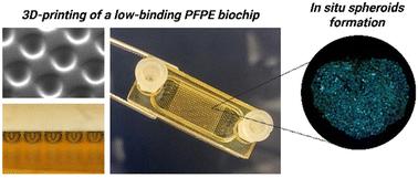 In situ formation and culture of cell spheroids in a low-binding 3D-printed biochip