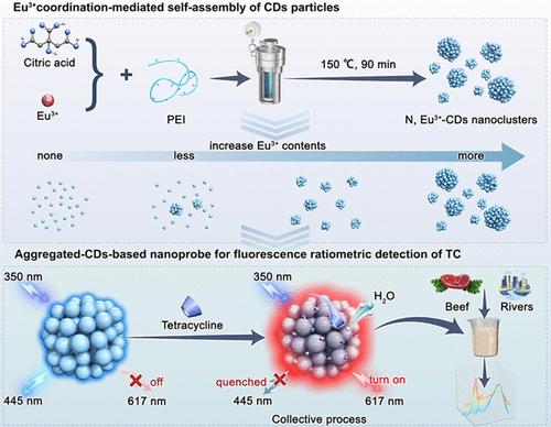 Europium(III) Coordination-Mediated Self-Assembly of N-Doped Carbon Dot Nanoclusters for Ratiometric Detection of Tetracycline