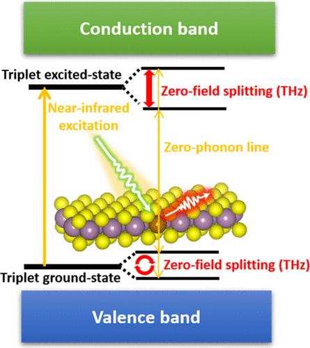 Quantum Defects in 2D Transition Metal Dichalcogenides for Terahertz Technologies