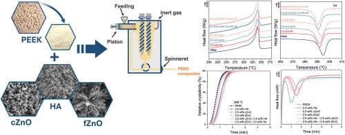 Crystallization kinetics of PEEK nanocomposites with hydroxyapatite and zinc oxide: influence of nanoparticle morphology and hybridization
