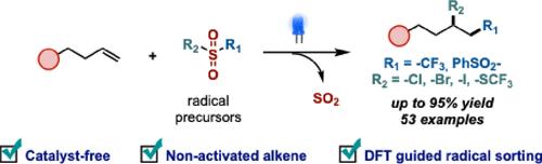 Mechanistic Insights into the Light-Driven Difunctionalization of Alkenes with a Sulfonyl-Based Reagent: A Catalyst-Free Approach