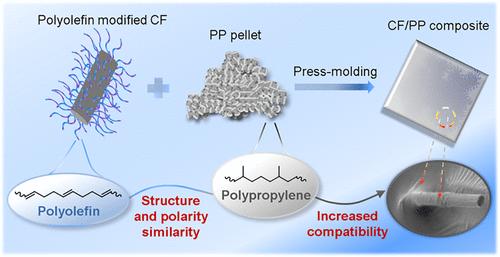 Modified Carbon Fibers with Polyolefins Based on Surface Chain-Transfer Ring-Opening Metathesis Polymerization and Their Reinforced Polypropylene Composites
