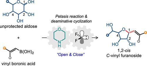A Biomimetic Procedure for the Synthesis of 1,2-cis C-Vinyl Furanosides from Unprotected Aldoses