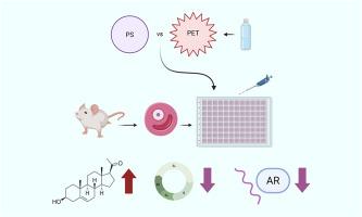 Polystyrene and polyethylene terephthalate nanoplastics differentially impact mouse ovarian follicle function
