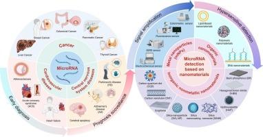 Nanomaterial-driven hypersensitive microRNA detection for clinical precision medicine