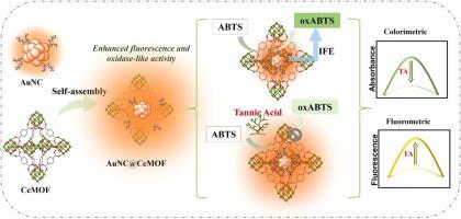 Dual-functionality in one MOF: Tailored AuNC@MOF hybrids with synergistic oxidase-mimetic activity and fluorescence amplification for multi-modal tannic acid sensing