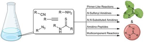Amidine Syntheses from Classic to Contemporary for Medicinal Lead Compounds and Natural Products