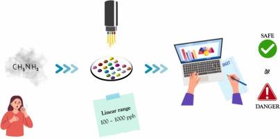 Methylamine gas sensing by optical array