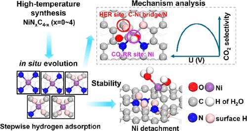 Uncovering the True Active Sites in Ni–N–C Catalysts for CO2 Electroreduction