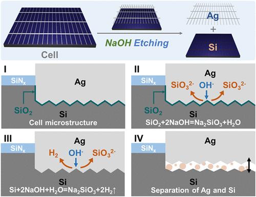 Direct Recycling of Silver and Silicon from Solar Cells through Selective Alkaline Etching
