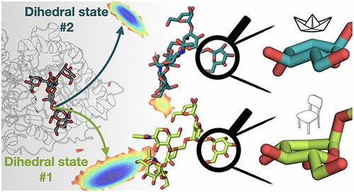 Shaping the Glycan Landscape: Hidden Relationships between Linkage and Ring Distortions Induced by Carbohydrate-Active Enzymes