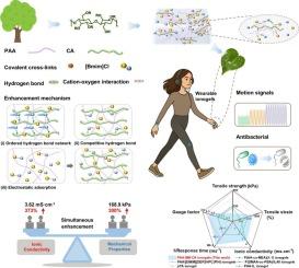 Simultaneous enhancement of mechanical properties and ionic conductivity of sustainable and antibacterial Ionogels by cellulose acetate for versatile flexible sensors
