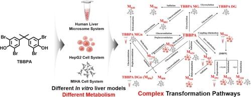 Diverse in vitro liver models reveal comprehensive biotransformation pathways of Tetrabromobisphenol A