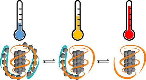 Dynamic Equilibria between DNA-Stabilized Silver Nanoclusters and Silver-Carrying DNA Strands