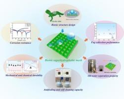 Bionic multifunctional copper mesh for self-cleaning, oil/water separation and fog collection
