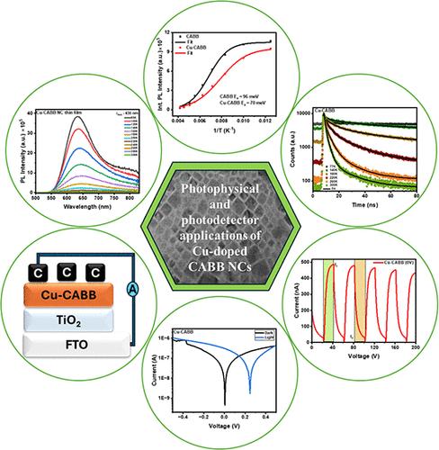 Enhanced Broadband Photodetectors Based on Cu-Doped Cs2AgBiBr6 Nanocrystals via Localized States Driving Improved Device Performance