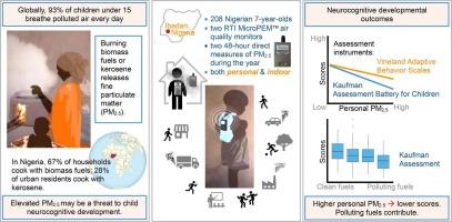 Impact of fine particulate matter air pollution (PM2·5) on Nigerian children’s performance on tests of cognitive and neurobehavioral development at age seven years