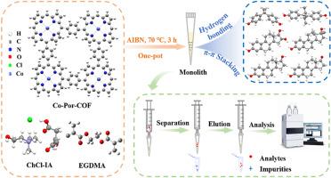 Preparation of cobalt porphyrin-based covalent organic framework doped poly(deep eutectic solvent-co-ethylene glycol dimethacrylate) monolithic column for pipette tip micro solid-phase extraction of estrogens