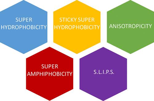 Bioinspired and Biomimetic Wetting Properties