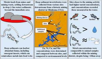 Heavy metal accumulation in deep sediment benthic invertebrates downstream from a historical mining district