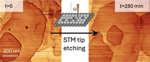 Tip-Induced Etching and Vacancy Island Evolution on 2H-TaS2 Revealed by STM
