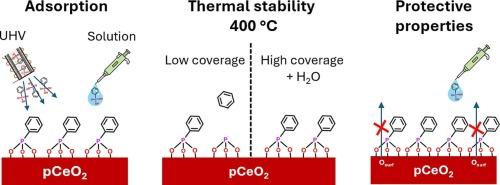 Functionalization of the polycrystalline cerium oxide with phenylphosphonic acid molecules
