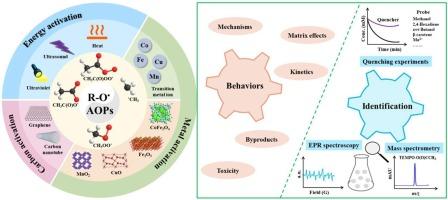 Critical review of organic radical chemistry in peracetic acid-based advanced oxidation processes for water decontamination