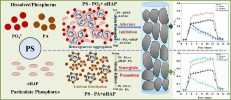 Critical role of dissolved and particulate phosphorus in controlling the fate of polystyrene nanoplastics in porous media