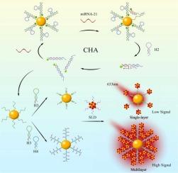 Dual-mode biosensor based on cascade CHA-HCR amplification and multilayer core-satellite nanostructures for highly sensitive microRNA detection