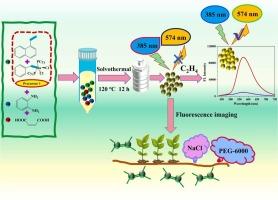Ultrasensitive carbon dot nanofluorescent probe for rapid imaging of ethylene dynamic changes in plants under abiotic stress exploiting aggregation-induced emission enhancement