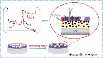 A novel ratiometric molecularly imprinted electrochemical sensor based on Ag and ionic liquid co-functionalized MXene for highly sensitive and selective detection of patulin
