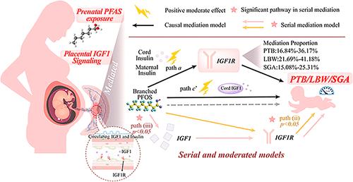 The Mediation Role of the Placental IGF1 Signaling Pathway on Associations between Prenatal PFAS Exposure and Adverse Birth Outcomes: Evidence from Serial Mediation Models