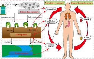 A systematic review of non-dietary human risks of neonicotinoids in China: environmental concentrations, human exposure and risk assessment