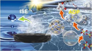 Bridging solar evaporation and advanced oxidative degradation: A MXene-hydrogel platform for synergistic water treatment