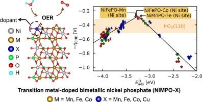 Tuning oxygen evolution activity via transition metal doping in bimetallic nickel phosphates