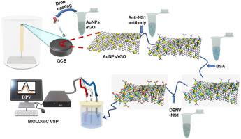 Biowaste-derived gold nanoparticles on reduced graphene oxide: An innovative nanoplatform for the label-free immunosensing of dengue NS1