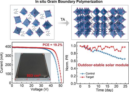 Reducing Inter-grain Gaps to Stabilize the Outdoor Operation of Perovskite Solar Modules