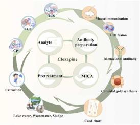 Multiplex immunochromatographic assay for simultaneous detection of triclosan, triclocarban and chlorophene in environmental samples
