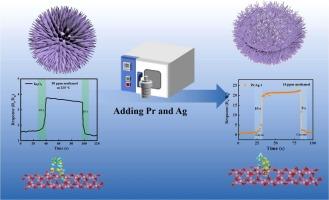 Modulating porous In2O3 nanonest like structures by Pr-Ag dopant ratio for enhanced methanol gas sensing properties