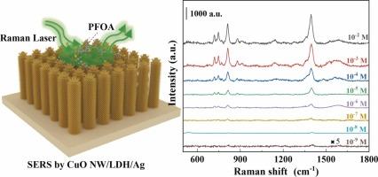 3D CuO/NiCo/Ag hierarchical SERS nanostructures for direct detection of trace perfluorooctanoic acid