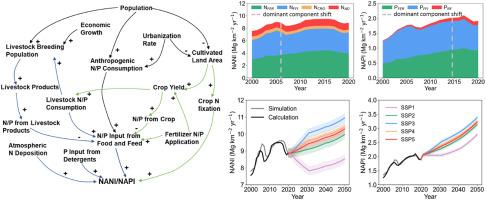 Socioeconomic drivers and future projections of anthropogenic nitrogen and phosphorus inputs in the Pearl River Basin of China