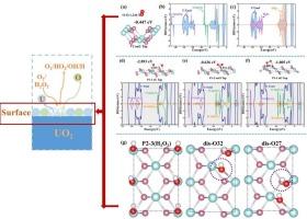Surface adsorption and dissolution mechanisms of UO2 (110) and (111) in oxidizing environments: Insights for sustainable nuclear fuel recycling