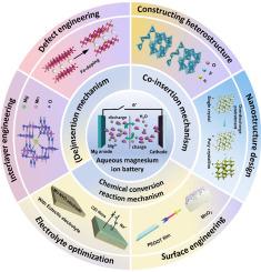 Breakthroughs for kinetic enhancement of cathode materials in aqueous magnesium-ion batteries