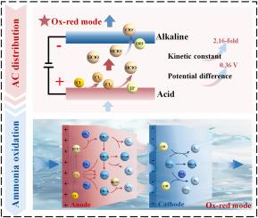Sequential oxidation-reduction process for active chlorine distribution regulation on ammonia oxidation in the flow-through electrode system