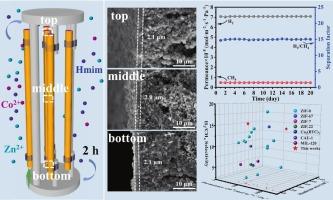 Scalable synthesis of bimetallic ZIF membranes on the inner-surface of ZnO hollow fiber for gas separation