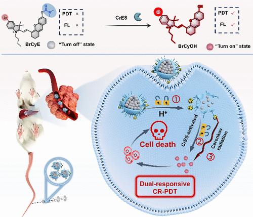 Dual-Locked Nanophotosensitizer Harnessing Cerenkov Radiation for Deep Tumor Therapy