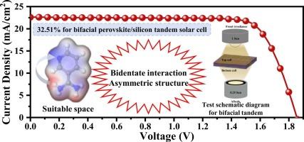Isomer-Engineering of Pyridine Amidinium for Efficient Bifacial Perovskite/Silicon Tandem Solar Cells