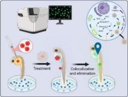 A ratiometric theranostic nanoplatform with acid-triggered drug release and glutathione-activated fluorescence turn-on
