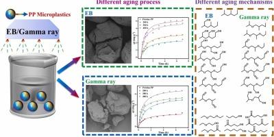 Divergent aging pathways in polypropylene microplastics: Ionizing radiation induced oxygen containing functional groups govern pollutant adsorption